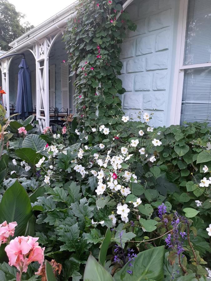 Adley House Bed & Breakfast Oudtshoorn Exterior photo